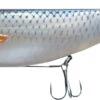 Balzer Soft Lure Rig + Screw Jighead 14cm 5g -Vissen Kortingswinkel 018085f3ef889c1d