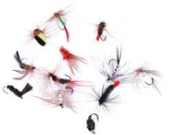 Ultimate Fly Selection 12pcs -Vissen Kortingswinkel 29eb2c805babb0e7