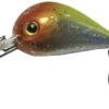 Behr Trendex Mini Pop Lure 2,5 Cm/ 4 Gr With Rattle 04 2 Behr Trendex Mini Pop Lure 2,5 Cm/ 4 Gr With Rattle 04 -Vissen Kortingswinkel 52fbfdb1a28beba4