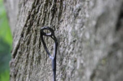 Ashima FFX-P 10ft 3lb -Vissen Kortingswinkel 6d1300dab89f2583