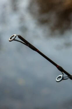 Ultimate Allround Catfish 300cm, Meervalhengel -Vissen Kortingswinkel 8b26784bce510e61