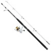 Mitchell Tanager SW Boat Spinning Combo 2,40m (100-300g) -Vissen Kortingswinkel 9ecd9dc3bb17a7db