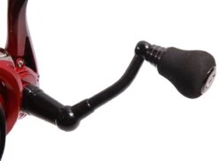 Ultimate Chikara Spin 2000