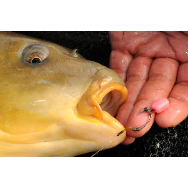 Korda Pop Up Maize Fruity Squid Pink 3 Korda Pop Up Maize Fruity Squid Pink