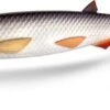 Quantum Yolo Curly Shad 21cm 36gr Real-Touch Bream -Vissen Kortingswinkel f5c9c729e8d0b2ae