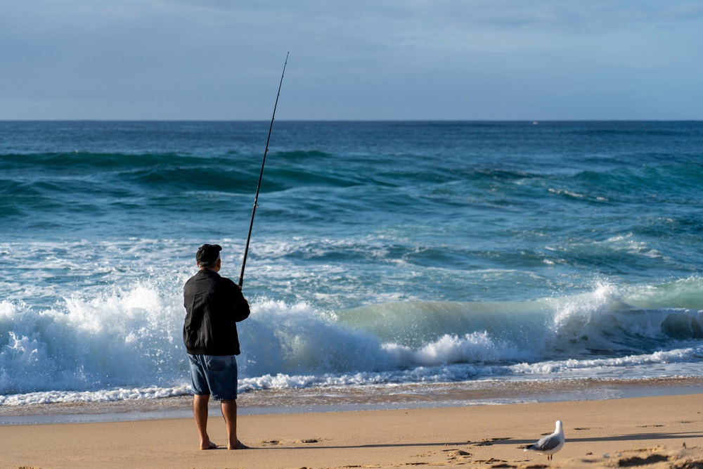 Vissen Kortingswinkel -Vissen Kortingswinkel 1